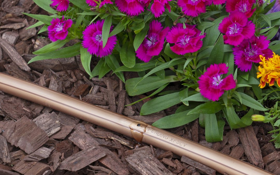 Dripline check valve technology offers water conservation and consistent irrigation for sloped landscapes