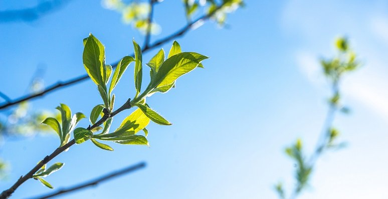 UK Landscape Barometer: January findings