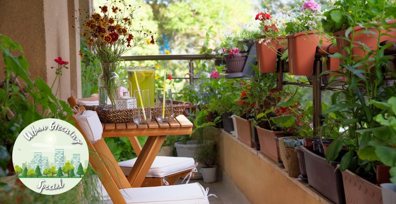 Small spaces and community gardening celebrated at first RHS Urban Show