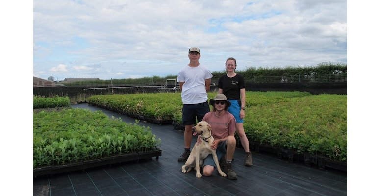 Rymer Trees eyes peat-free growth in third year