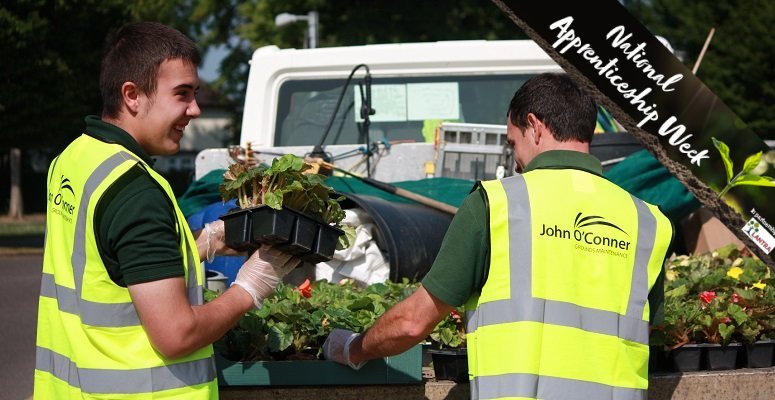 5 Top Tips for Helping Apprentices Succeed at Your Company