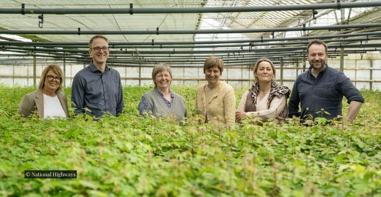 Greenwood Plants to deliver first phase of Three Million Trees project