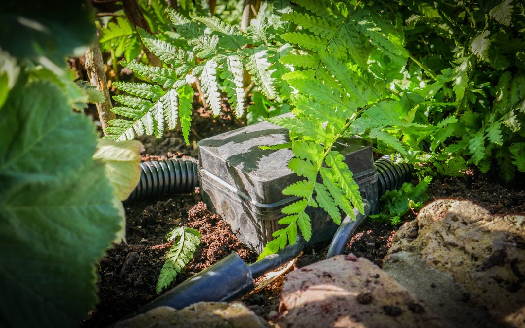 The Importance of Keeping Joint Boxes Accessible in Garden Lighting Installations