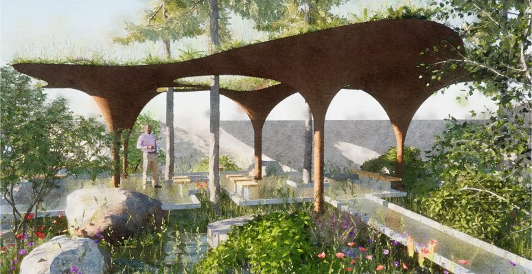 Third of gardeners struggling with water shortages, finds WaterAid