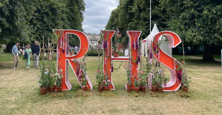 16 Highlights of RHS Hampton Court press day