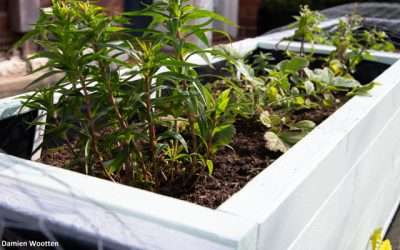 New network launches to help fund community green spaces