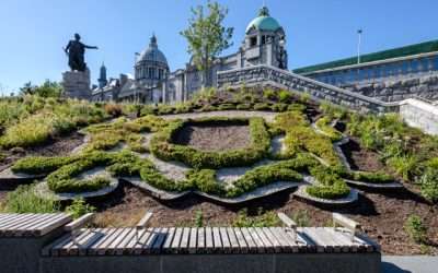 Historic Aberdeen park revitalised through collaboration