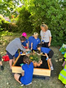 School gardening