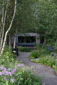Muscular Dystrophy UK – Forest Bathing Garden