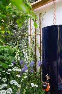 The Water Saving Garden Chelsea