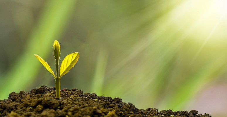 UK Landscape Barometer records positive performance