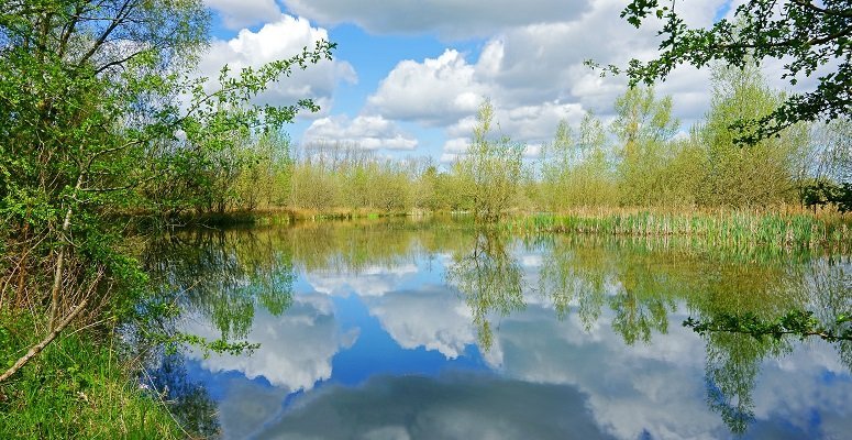 Cotswold Water Park confirmed as a Site of Special Scientific Interest