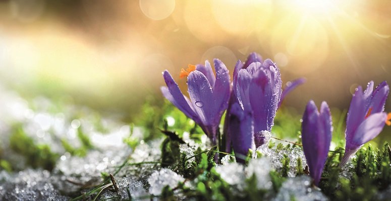 UK Landscape Barometer: December 2022 findings