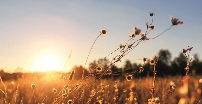UK Landscape Barometer: July findings