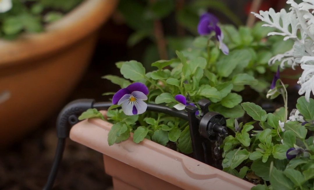 Irrigation That Works In Every Sense