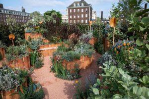 World Child Cancer’s Nurturing Garden