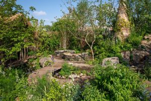 Burma Skincare Initiative Spirit of Partnership Garden