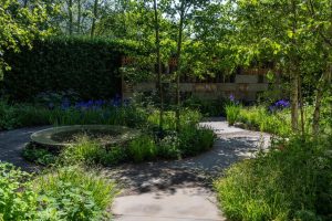 Muscular Dystrophy UK – Forest Bathing Garden
