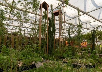 The Size of Wales Garden