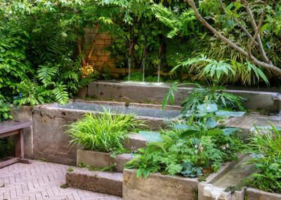 The Ecotherapy Garden