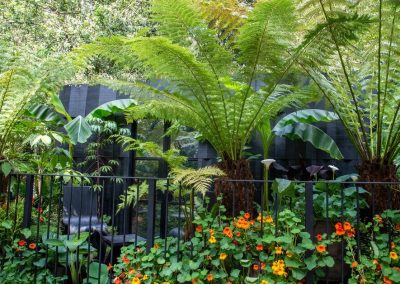 The Addleshaw Goddard Junglette Garden
