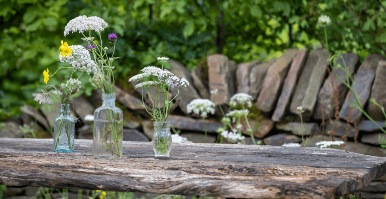 ‘Sad plight’ for trees scoops Young Designer of the Year Award