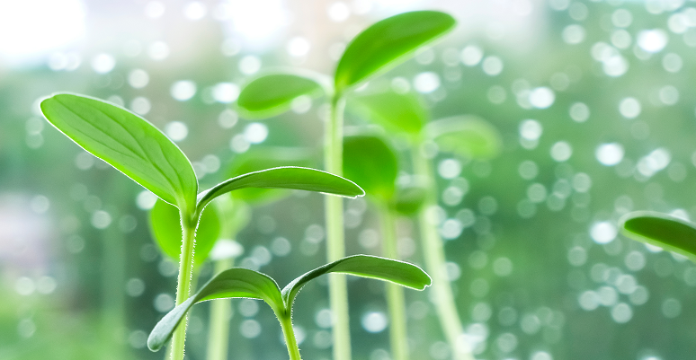 UK Landscaper Barometer: November findings
