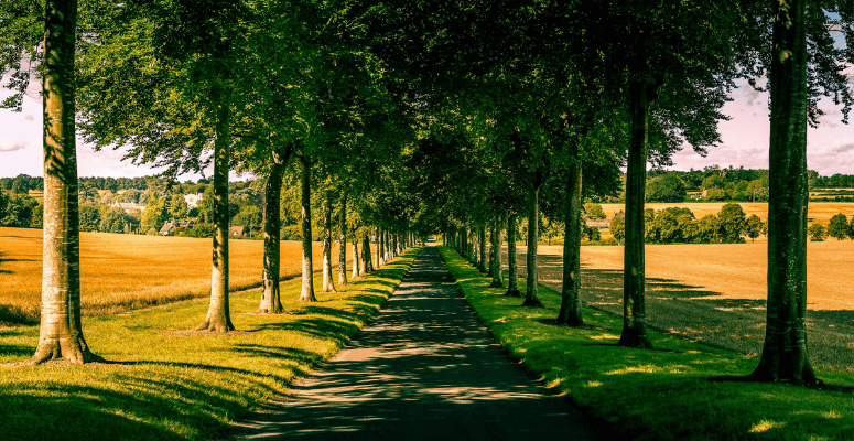 £26bn a year needed to tackle UK environmental threats, study shows