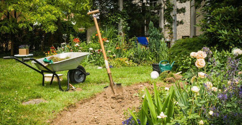 Top 5 tips to get the most out of this landscaping season