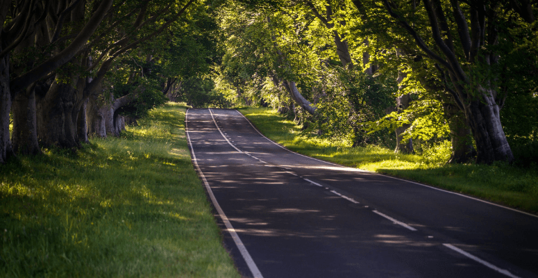 AC Landscapes and Treeworks acquired out of administration