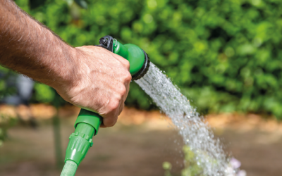 Barometer May 2023: Are nurseries feeling the heat from the hosepipe bans?