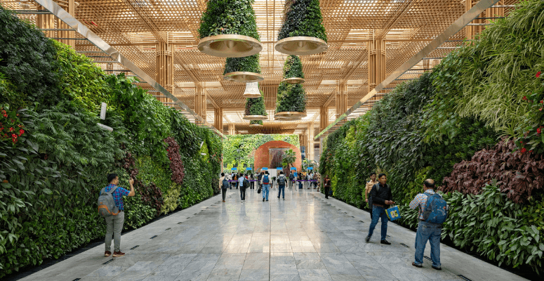 Biodiversity flies high in new airport terminal garden