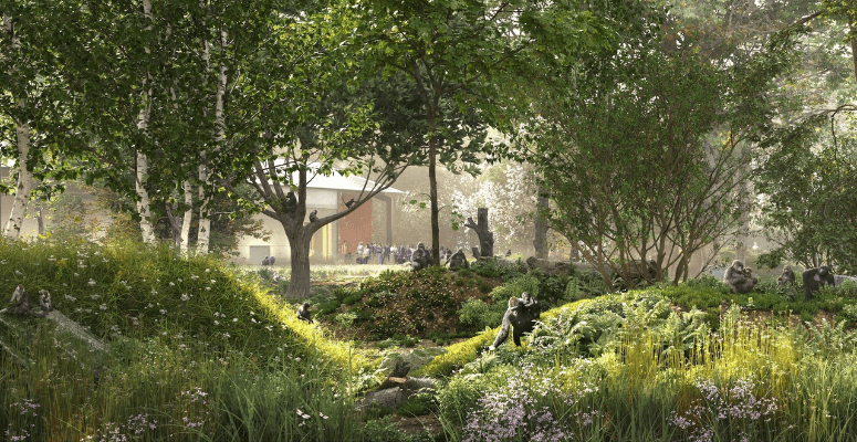 Conservation proposal approved for Bristol Zoo Project