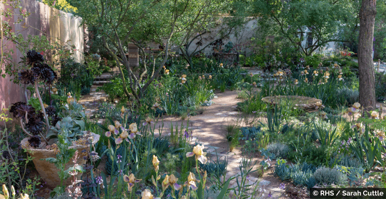 Crocus bids farewell to the Chelsea Flower Show