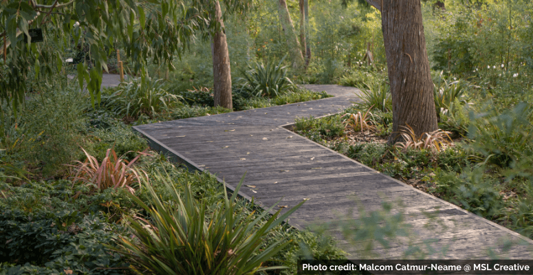 Cultivating Inclusivity – Designing Outdoor Spaces with Inclusivity in Mind