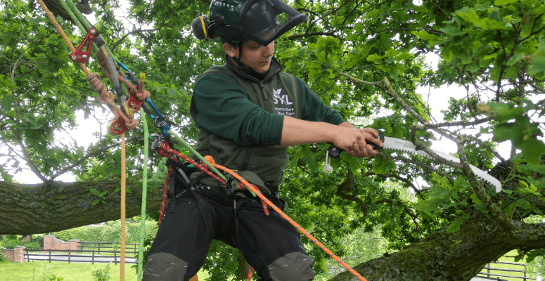 Deadline for the Land-based and Environment Learner Awards gets extended