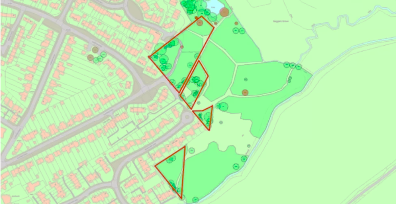 “Devastating” tree disease found in West Sussex nature reserve