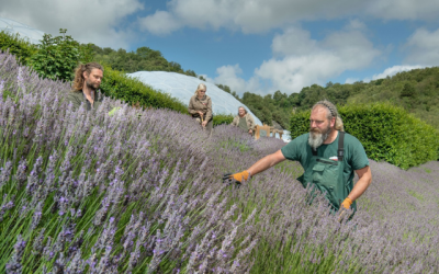 Eden Project’s great outdoors see silver linings from recent climate change