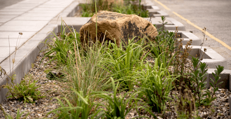Boughton launches new SuDs Soils