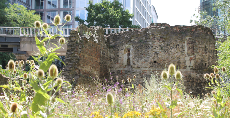 First phase of historic London garden underway