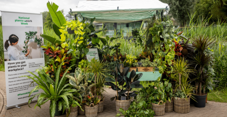 plants@work association's new benefits to houseplants stall.