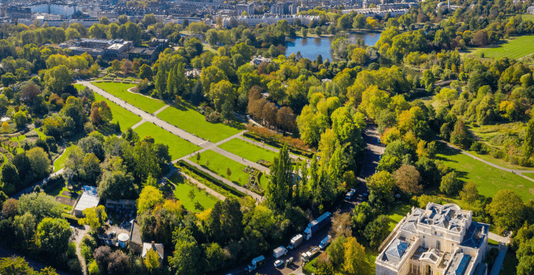Gavin Jones awarded Royal Parks maintenance contract