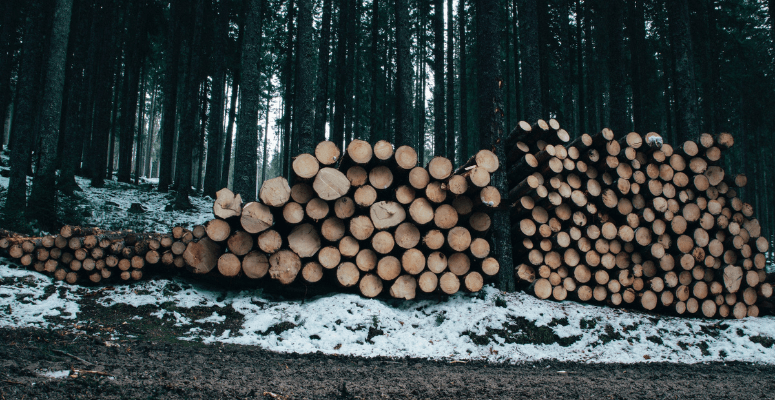 Government commits to ambitious timber construction targets
