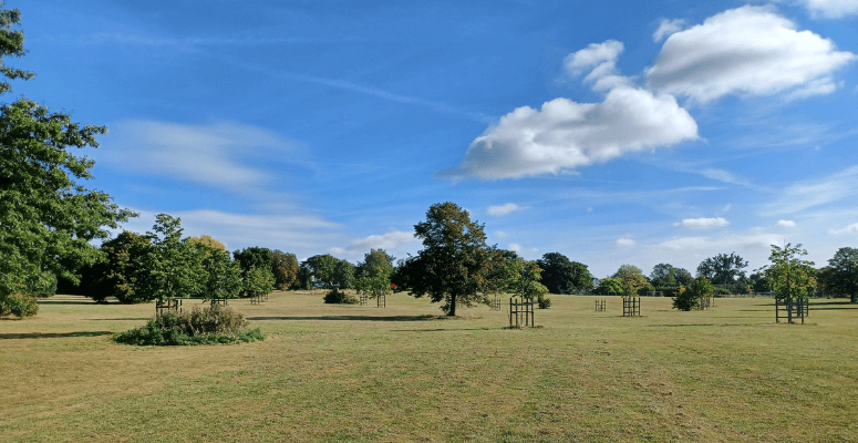 Historic North London parklands to be protected for decades to come