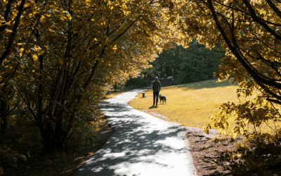 HTA urges government not to overlook urban green spaces