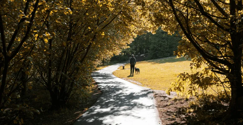 HTA urges government not to overlook urban green spaces