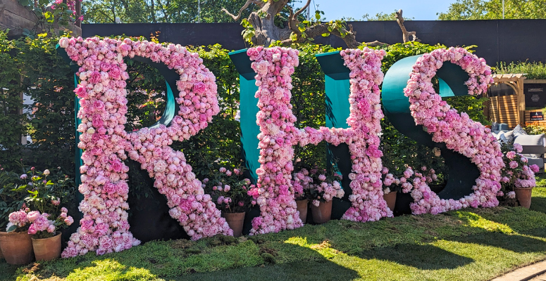 RHS Chelsea Flower Show 2024: In pictures