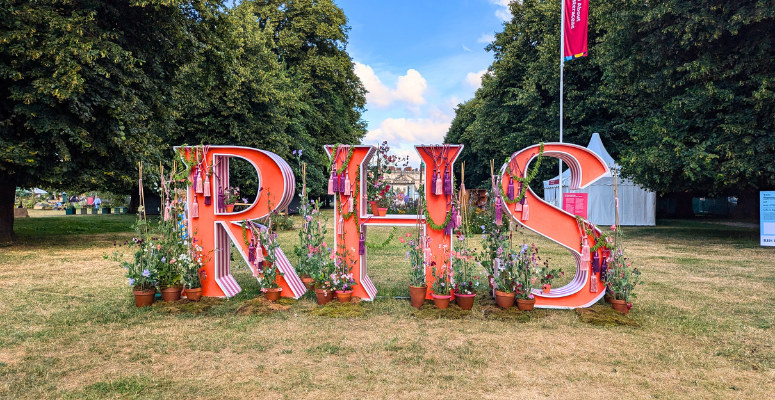 RHS Hampton Court Palace Garden Festival 2024: In pictures