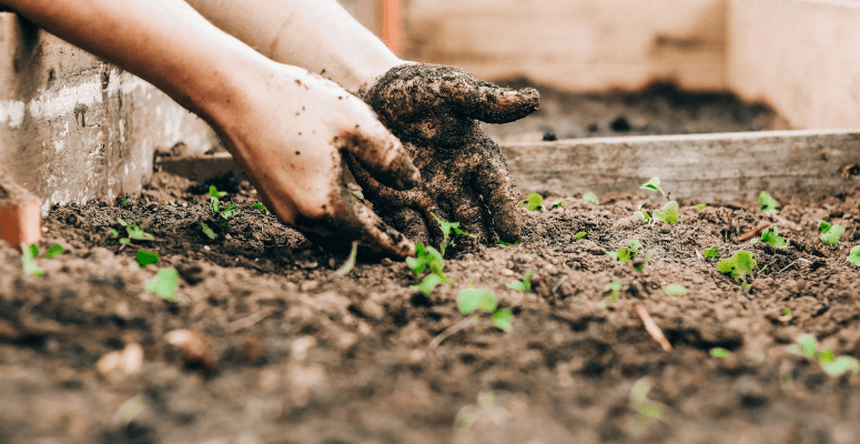 Islington Council launches new scheme to ‘green up’ unloved spaces