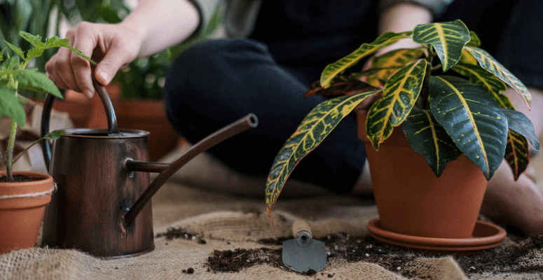 Join the RHS this Horticulture Careers Discovery Week